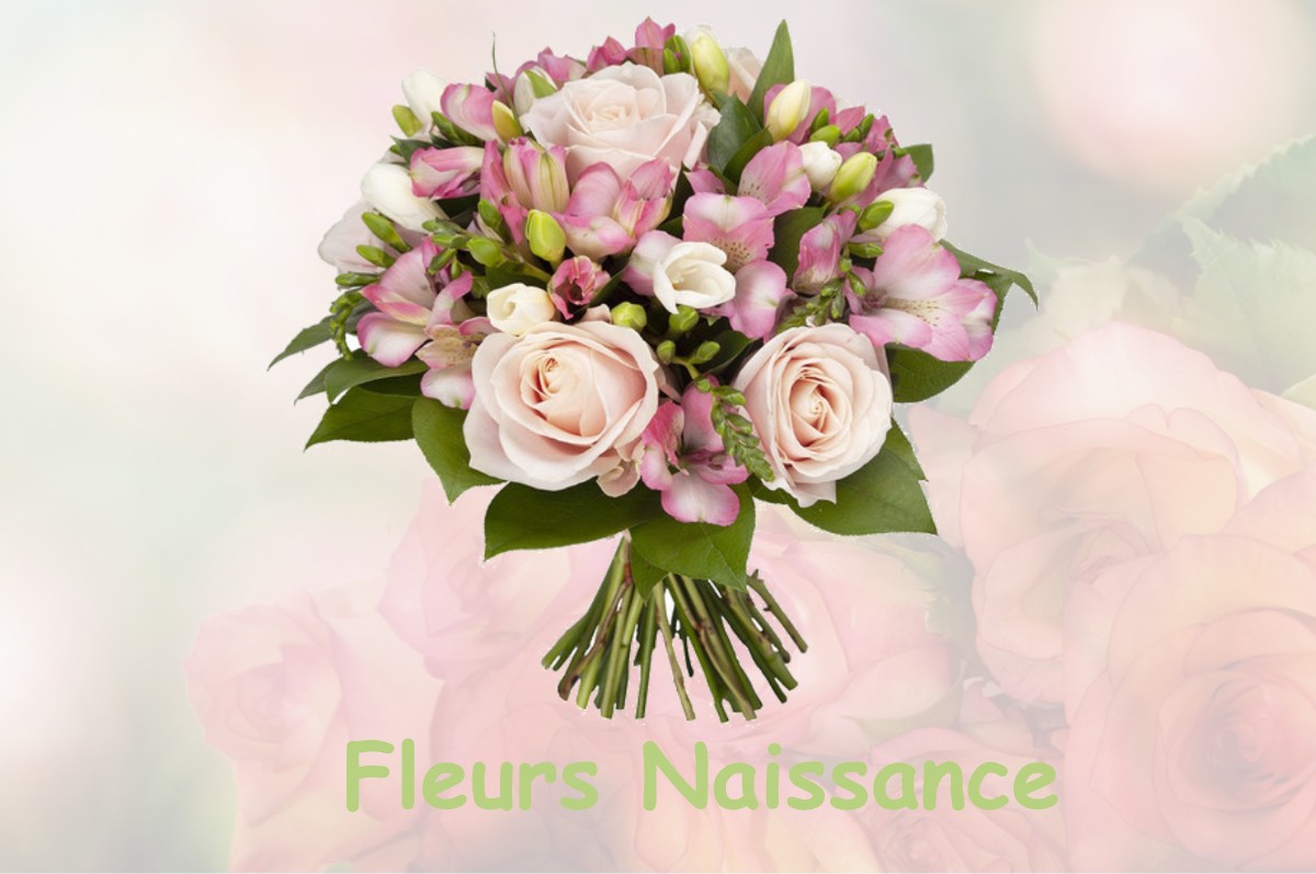 fleurs naissance SAINT-JOUIN-DE-MARNES